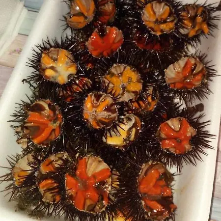 Loriand Semesterbostad Gallipolli