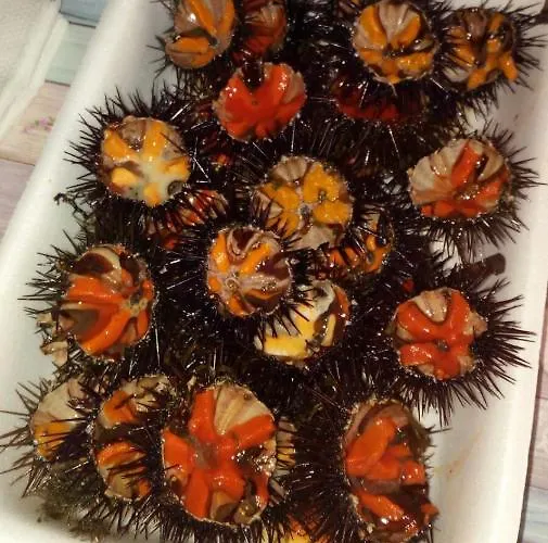 Loriand Semesterbostad Gallipolli